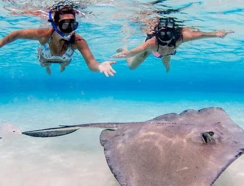 Stingray City and Star Fish Point, Grand Cayman tour from Georgetown cruise port