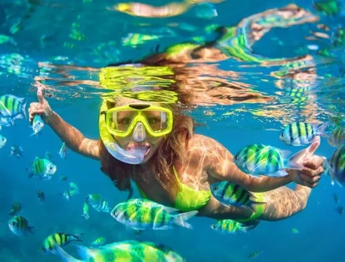 Grand Cayman 3-Stop Adventure: Stingray City & Reef Snorkeling