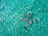 Boat trips from Sharm el-Sheikh