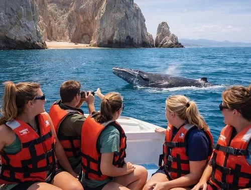 Whale Watching in Cabo: 2-Hour Small Group Tour to The Arch