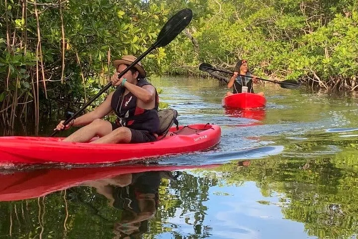 Cancun Nichupte Lagoon Sunset Kayak Adventure