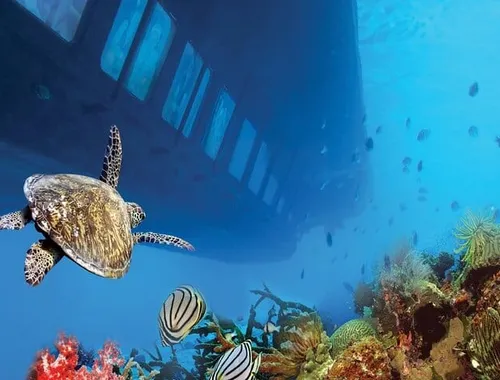 Sharm El-Sheikh: Royal Seascope Submarine cruise in with pickup