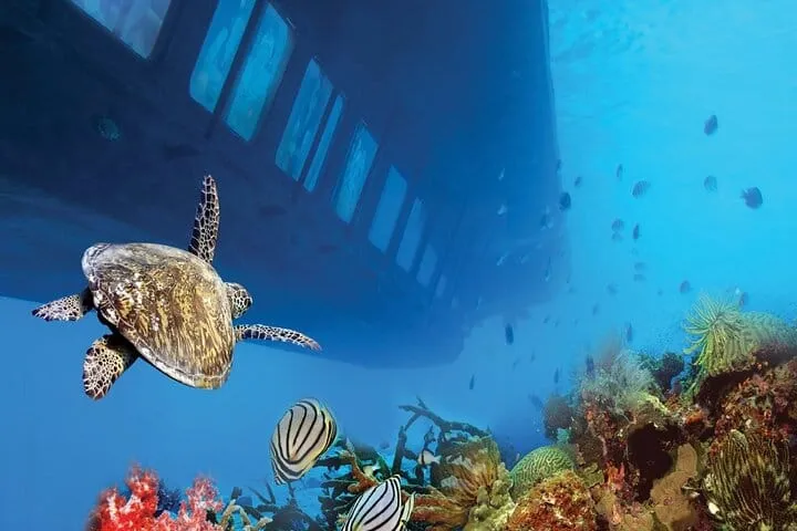 Sharm El-Sheikh: Royal Seascope Submarine cruise in with pickup