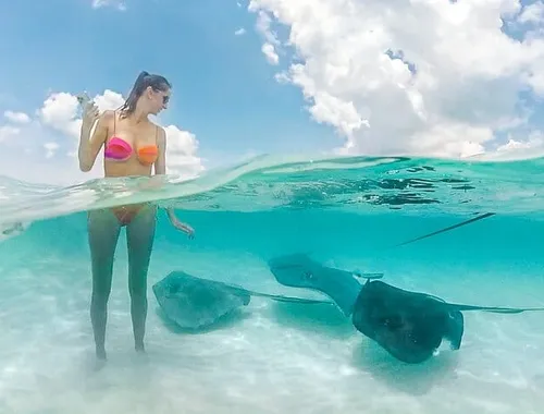 Grand Cayman Stingray City Sandbar Snorkel Adventure 