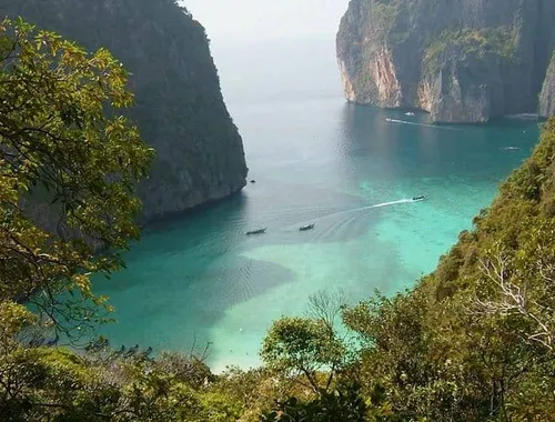Phi Phi Sunset & Shark Spotting – Small Group
