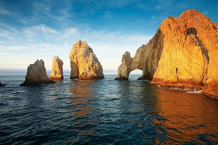 Los Cabos Sunset Whale Watching Cruise with Open Bar
