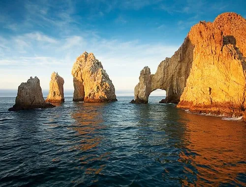 Los Cabos Sunset Whale Watching Cruise with Open Bar