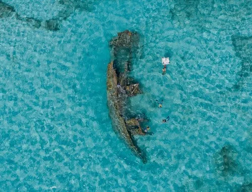 Cancun Snorkeling Tour: Swim with Turtles, Reef, Underwater Museum and Shipwreck
