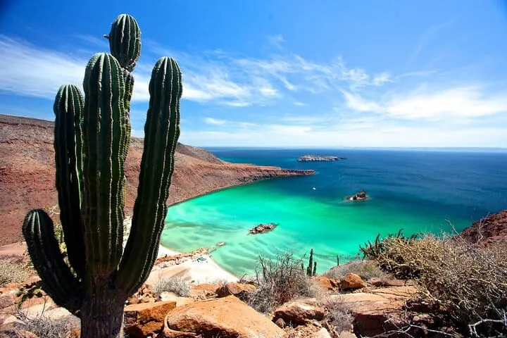 Balandra Beach & Sea Lions Private Boat Adventure from La Paz