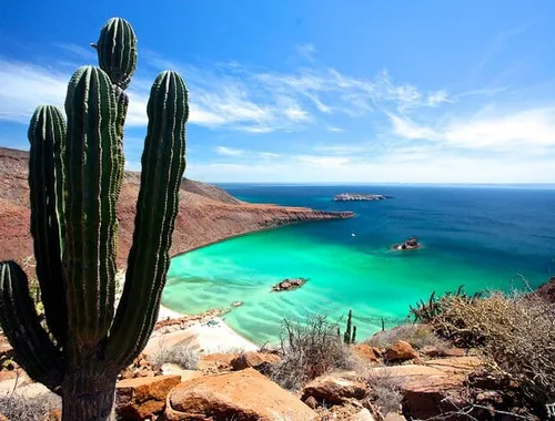 Balandra Beach & Sea Lions Private Boat Adventure from La Paz