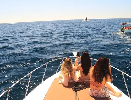 Sail past the titans of Dubai! Cruise in ultimate luxury past the Burj Al Arab and the Palm Jumeirah on your exclusive Dubai Yacht – Private Luxury Tour of Marina & Palm Jumeirah!