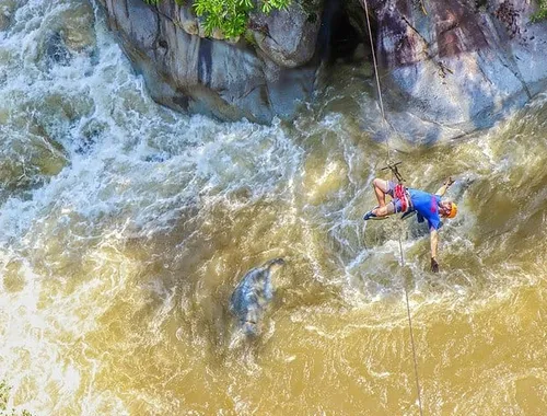 Over 2 miles of ziplines through the jungle and over the canopy river in Puerto Vallarta!
