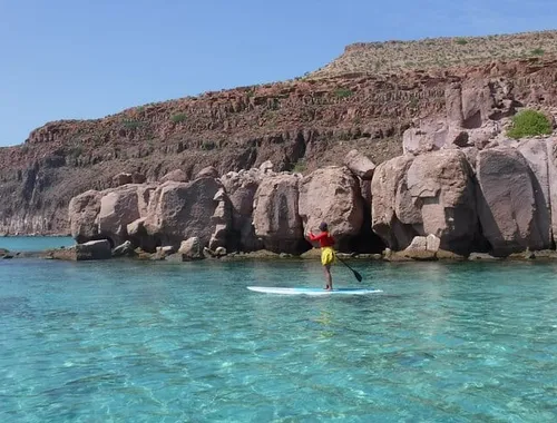 Espiritu Santo Island & Sea Lions Private Tour from La Paz