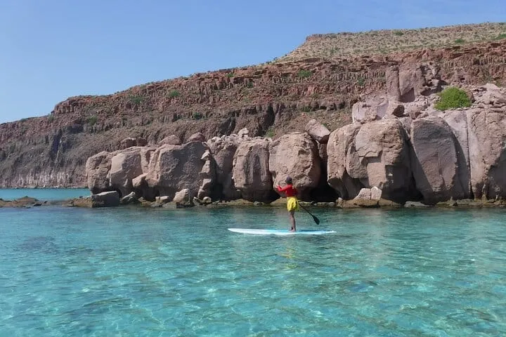 Espiritu Santo Island & Sea Lions Private Tour from La Paz