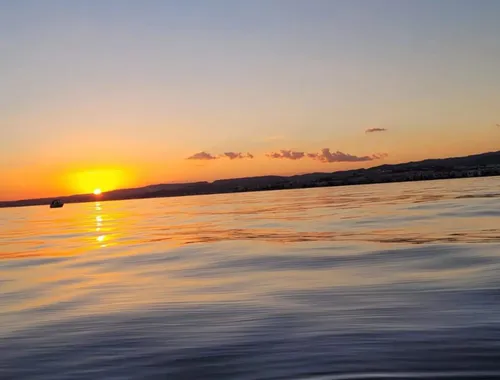 Guided Marine Life Excursion in Estepona