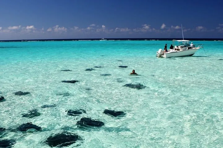 Grand Cayman 3-Stop Adventure: Stingray City & Reef Snorkeling