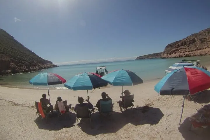 Sea of Cortez Combo: Whale Sharks, Sea Lions & Balandra Beach