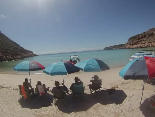 Sea of Cortez Combo: Whale Sharks, Sea Lions & Balandra Beach