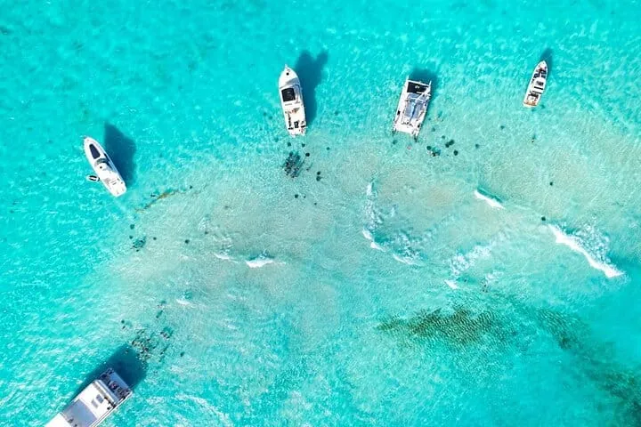 Grand Cayman Stingray City and Reef Snorkeling Adventure
