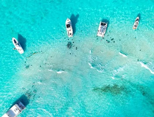 Grand Cayman Stingray City and Reef Snorkeling Adventure