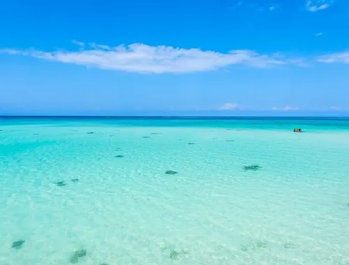 Mnemba Island Private Boat – Snorkel & Dolphin Adventure