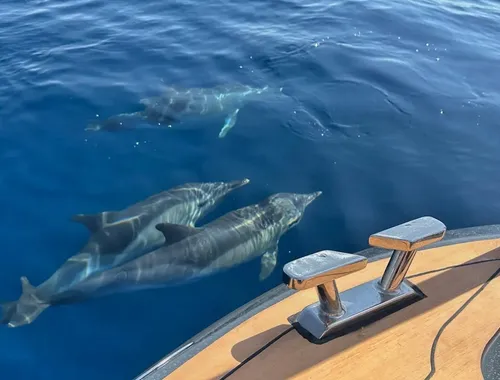 Experiencia Privada en Barco de 2 Horas en Estepona