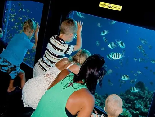 Hurghada: Royal Seascope Submarine cruise with Snorkel stop