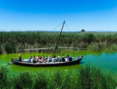 Albufera Private Day Tour: Paella, Boat Cruise and Nature Walk