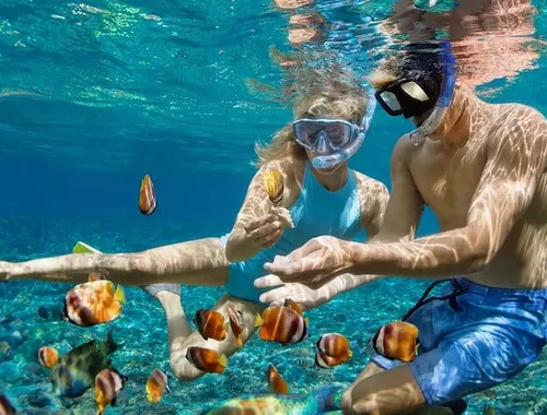 Grand Cayman: Stingray City and Snorkeling with Beach Lunch