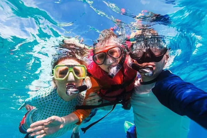 Stingray City and Star Fish Point, Grand Cayman tour from Georgetown cruise port
