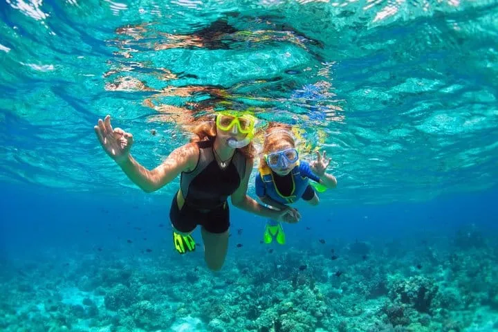 Cozumel: El Cielo & Palancar Snorkeling Tour on Glass-Bottom Boat