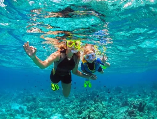 Cozumel: El Cielo & Palancar Snorkeling Tour on Glass-Bottom Boat