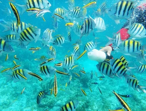 Catalina Island All-Inclusive Beach Day from Punta Cana