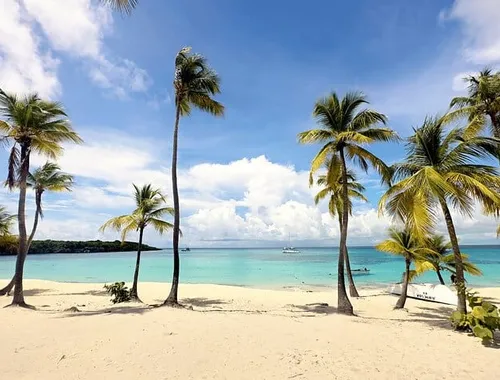 Catalina Island All-Inclusive Beach Day from Punta Cana