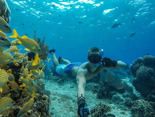 Cozumel El Cielo Sandbar Private Boat & Snorkeling Adventure