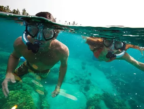 Tulum Snorkeling Experience in Front of the Mayan Ruins