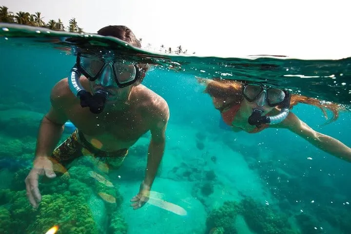 Tulum Snorkeling Experience in Front of the Mayan Ruins