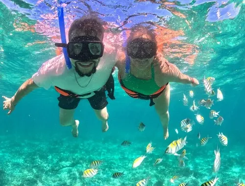 Dive into the "Aquarium of the World" on your Cabo Catamaran Tour and snorkel with schools of vibrant tropical fish in the Sea of Cortez!