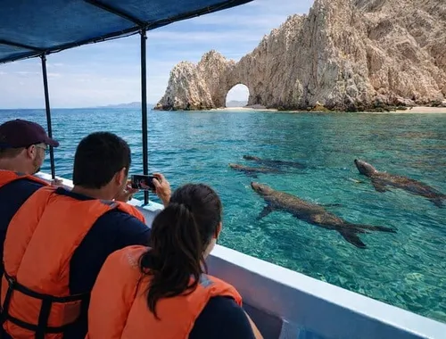 Cabo Boat Ride to El Arco & Lover’s Beach with Swimming