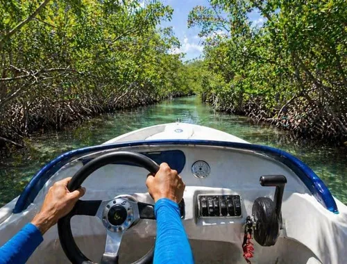 Cancun Speedboat Jungle Tour: Snorkel & Mayan Ceremony