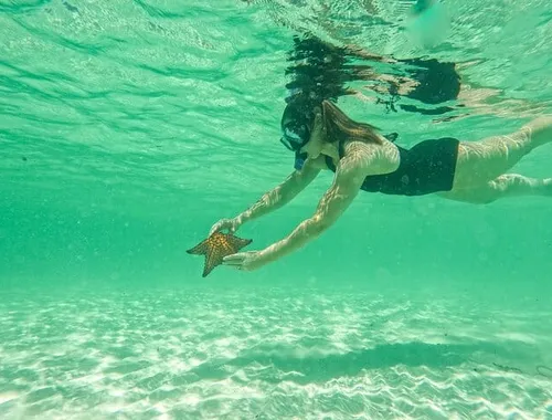 Discover the stunning natural pool and swim with star fish near Saona Island.