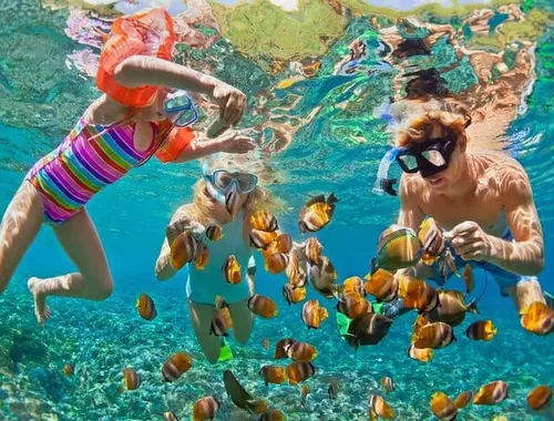 White Island and Ras Mohamed Snorkeling Trip from Sharm