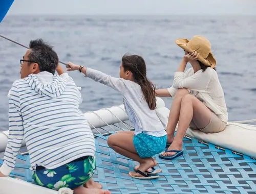 Los Cabos Whale Watching Cruise with Open Bar and Snacks