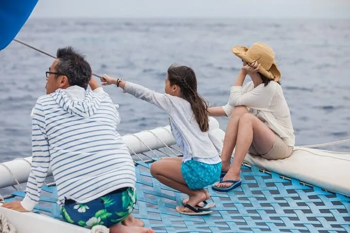 Los Cabos Whale Watching Cruise with Open Bar and Snacks