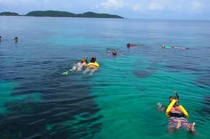 Phi Phi Sunset & Shark Spotting – Small Group