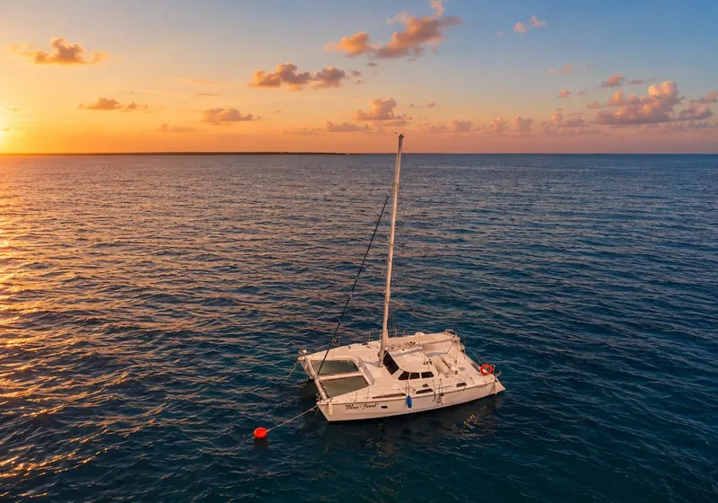 Belize Sunset Catamaran Drinks Ceviche and Ocean Views