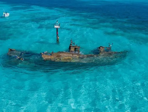 Cancun Snorkeling Tour: Swim with Turtles, Reef, Underwater Museum and Shipwreck