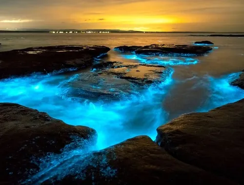 Grand Cayman Bioluminescence Adventure