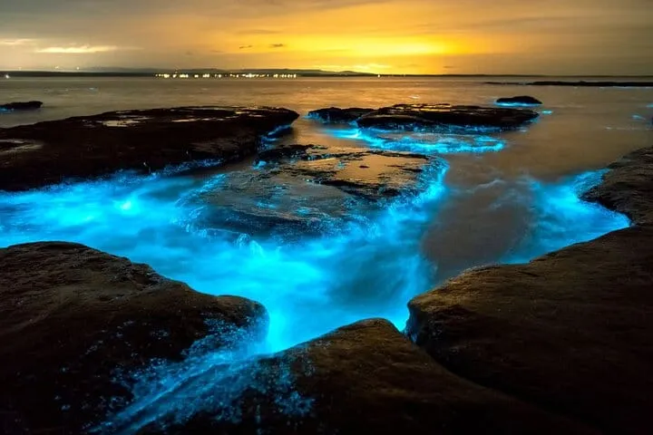Grand Cayman Bioluminescence Adventure