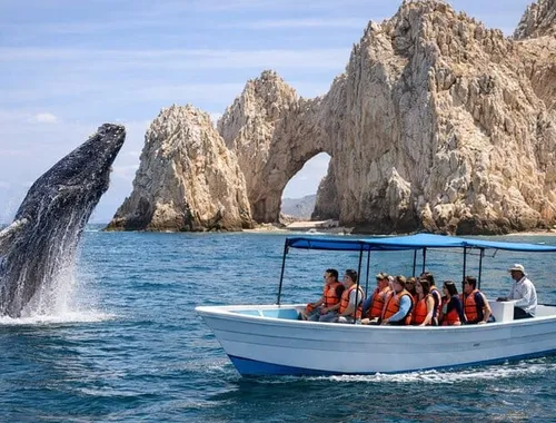 Whale Watching in Cabo: 2-Hour Small Group Tour to The Arch